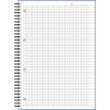 Бизнес-тетрадь 100л,кл,А4,LightBook,спираль,обл.корич,блок белый 70г/м