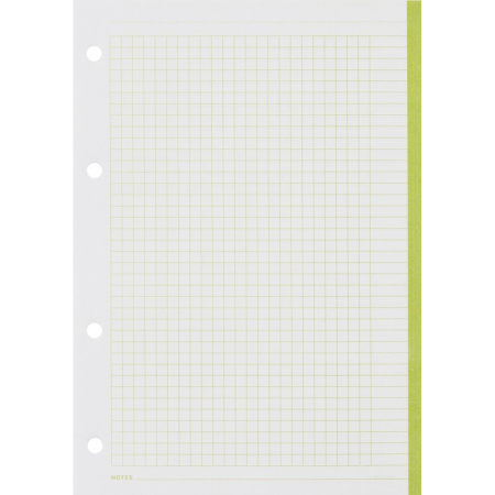 Сменный блок для тетрадей на кольцах, BeSmart А5 120л клетка Цветной N001d