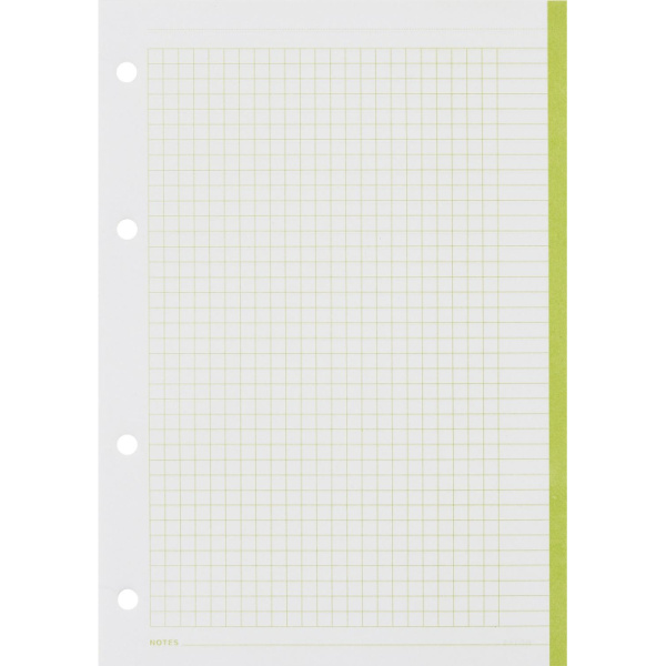 Сменный блок для тетрадей на кольцах, BeSmart А5 120л клетка Цветной N001d