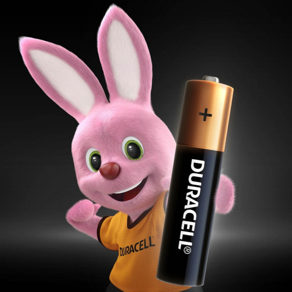 Батарейка DURACELL BASIC ААA/LR03-4BL