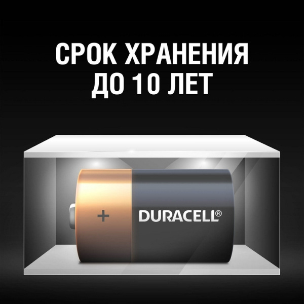Батарейка DURACELL BASIC D/LR20-2BL
