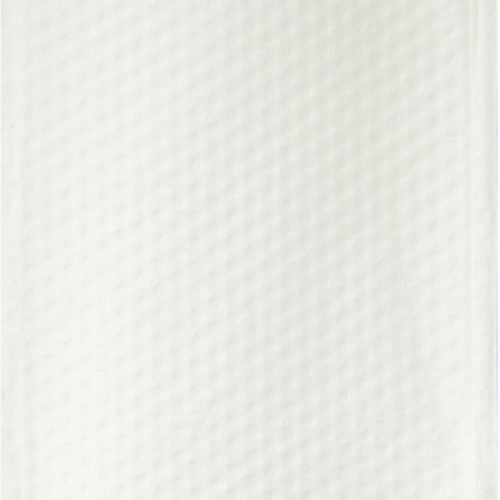 Полотенца бумажные д/дисп. FOCUS Eco Z-сл 1сл 24х21,5см 250л/12пач/уп